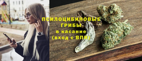 прущая мука Алексин