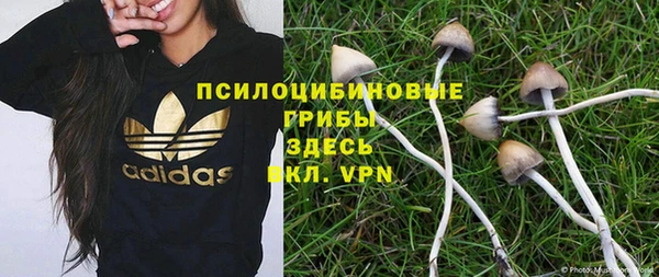прущая мука Алексин