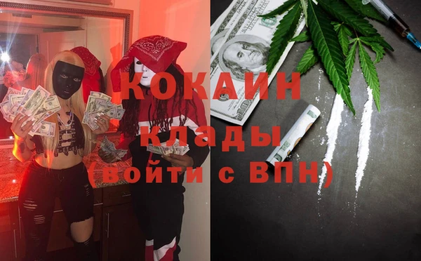 дмт Алзамай